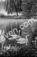 engraving 17