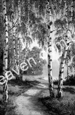 engraving 20