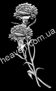 engraving 21