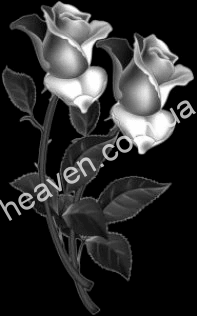engraving 26